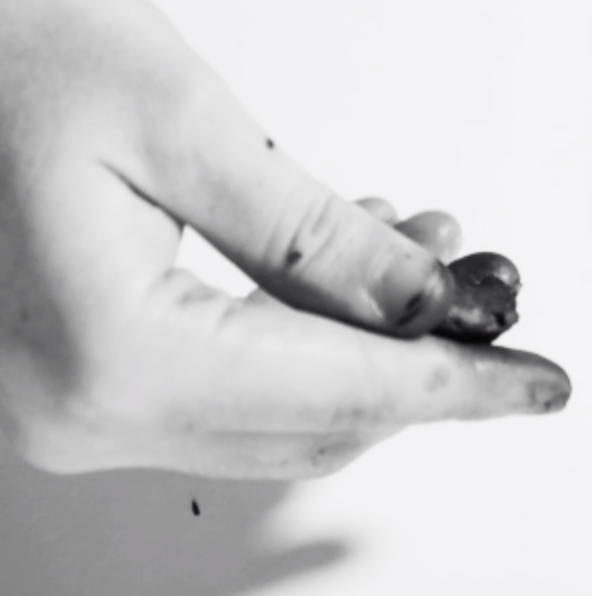  joaoistyping joao joão varela tipografia