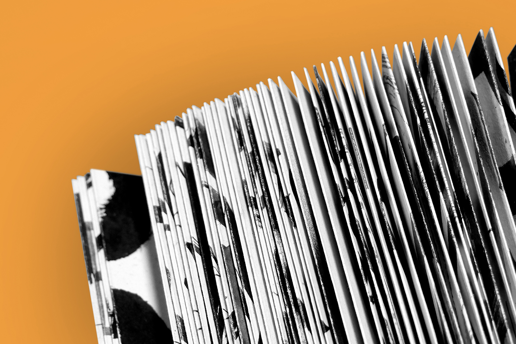  joaoistyping joao joão varela tipografia