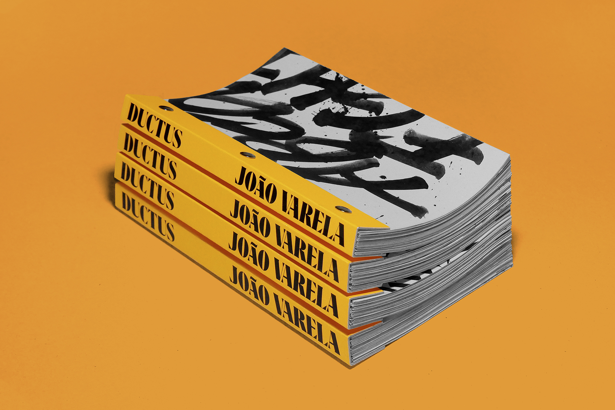  joaoistyping joao joão varela tipografia