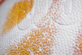  joaoistyping joao joão varela tipografia